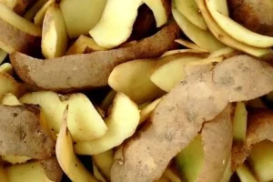 به جای شوینده های مضر و شیمیایی از پوست سیب زمینی استفاده کن | پوست سیب زمینی برای برق انداختن انواع سطوح