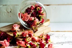 عشقت بهت گل داده و نمیخوای خراب بشه؟ | بیا بگم چطوری بدون تغییر رنگ و شکل گل طبیعی رو واسه طولانی مدت نگهداری
