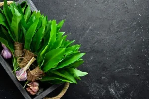 گیاهی که پادشاه منیزیم است | ابرغذایی که درمان هر دردی است