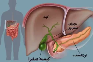 این هفت علامت یعنی لوزالمعده‌تان بیمار است