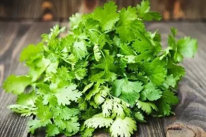 توصیه های طب چینی برای استفاده از اسانس این گیاه برای درمان هموروئید و مشکلات مثانه