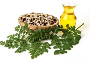 این درخت معجزه گر سرشار از ویتامین ویتامین A، B1 ، B3 کلسیم و پتاسیم بیش از 300 بیماری را شفا میدهد