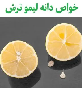 هسته این میوه رو دور نریزید | این هسته سرشار از ویتامین های C و B1 به تقویت قوای جنسی مردان و دیگر خواص برای شفای بیماری هاست