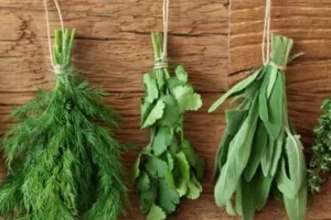 کلیک کن و با بهترین آنتی هیستامین های طبیعی و گیاهی و البته ارزان قیمت آشنا شو