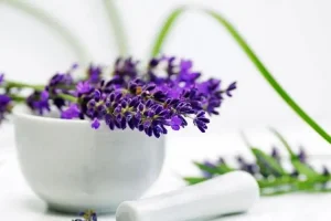 این گیاهان شفادهنده ی کیست تخمدان، ناباروری و عدم تعادل در هورمونهای جنسی هستند