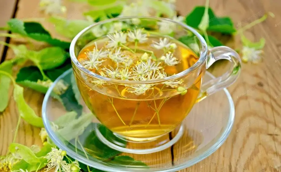 یک چای ساده و اینهمه خاصیت؟ چای این گیاه باعث کاهش فشار خون بالا، القای حس آرامش، تسکین اضطراب میشود