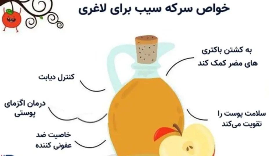 استیک اسید این مایع پادشاه میتواند میزان کلسترول خون را کاهش دهد و سلامت قلب شما را 100 ساله نماید