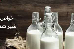 این نوشیدنی حاوی مقدار زیادی پروتئین و ویتامینهای گروه B، C، A و E که چند بیماری را یکجا درمان میکند
