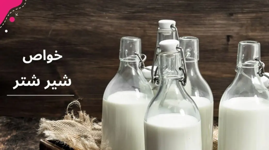 این نوشیدنی حاوی مقدار زیادی پروتئین و ویتامینهای گروه B، C، A و E که چند بیماری را یکجا درمان میکند