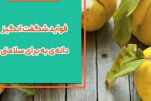 فیبر موجود در دانه این میوه خوشبو به کاهش سطح کلسترول و تنظیم سطح قند خون کمک می کند