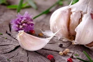 یه حبه سیر بزار زیر بالشتت معجزشو ببین | تمام امراض و بیخوابی تو به یخ حبه سیر بسپار