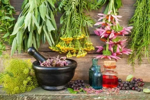 5 گیاه ارزان قیمت اما با خواص گران بها برای تنظیم هورمون های زنانه