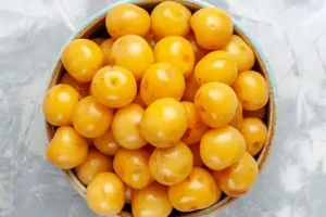 این میوه خوشمزه معروف به قطره طلا سرشار از آنتی اکسیدان و ویتامین سی درمانگر نیمی از بیماری های بدن است