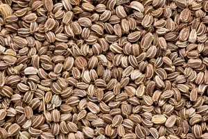 بدنتو با تخم این گیاه خونه تکونی کن | آرامش اعصاب، پاکسازی کامل بدن، تقویت کبد و درمان نقرس و آرتروز با تخم این گیاه دم دستی