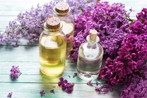 روغن این گیاه قاتل خشکی و اگزما، ضد استرس و شوره سر، ضد التهاب، رفع استرس و درمانگر بی‌خوابی است