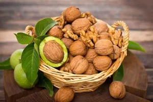 خواص این مغز برای مردان به شهرت جهانی رسید | درمان نعوظ و کمک به افزایش میل جنسی در کمترین زمان