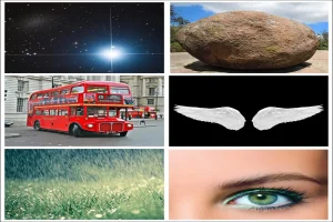 تست شخصیت شناسی | عامل خوشبختی و موفقیتت تو سال جدید چیه؟