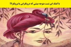 تست شخصیت شناسی | بیا واسه آخرین بار مطمئن شو درونگرایی یا برونگرا | بگو اول چی دیدی؟