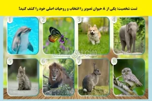 تست شخصیت شناسی | یک حیوان انتخاب کن تا بگم شخصیت واقعیت خشنه، آرومه، منطقیه یا احساساتی هستی؟