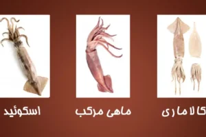 این نوع ماهی حاوی سرشار از پروتئین، انواع ویتامین های E، D، B2 و منیزیم است | توصیه پزشکان برای مصرف آن