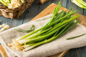 با این ترفند آسون همیشه تو خونه پیازچه تر و تازه داری