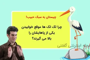 چیستان حبیب لیسانسه ها | چرا لک لک ها موقع خوابیدن یکی از پاهایشان را بالا می گیرند؟