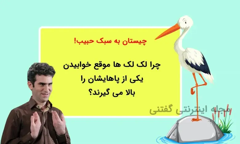چیستان حبیب لیسانسه ها | چرا لک لک ها موقع خوابیدن یکی از پاهایشان را بالا می گیرند؟