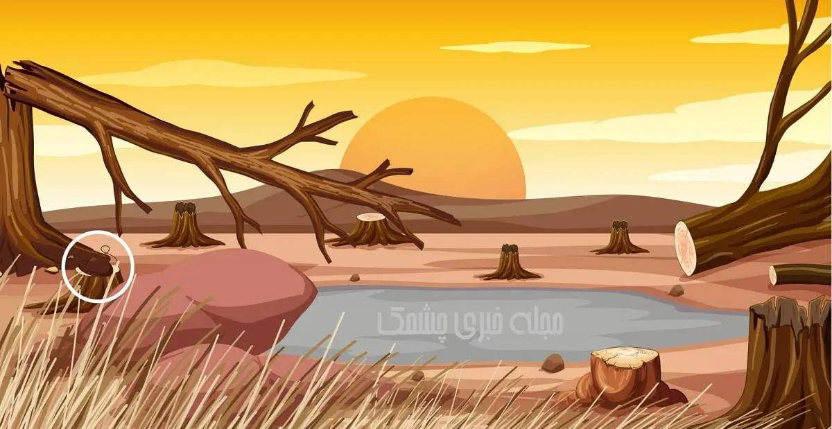 تست هوش