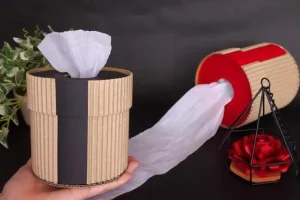 با این وسایل که فکرشم نمیکنی جا دستمالی لوکس و شیک درست کن + ویدیو آموزشی