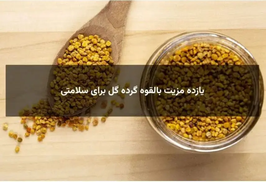 کاهش علائم یائسگی، کاهش چربی خون و کلسترول، بهبود عفونت های بدن با این گرده که بیش از 250 ماده فعال دارد