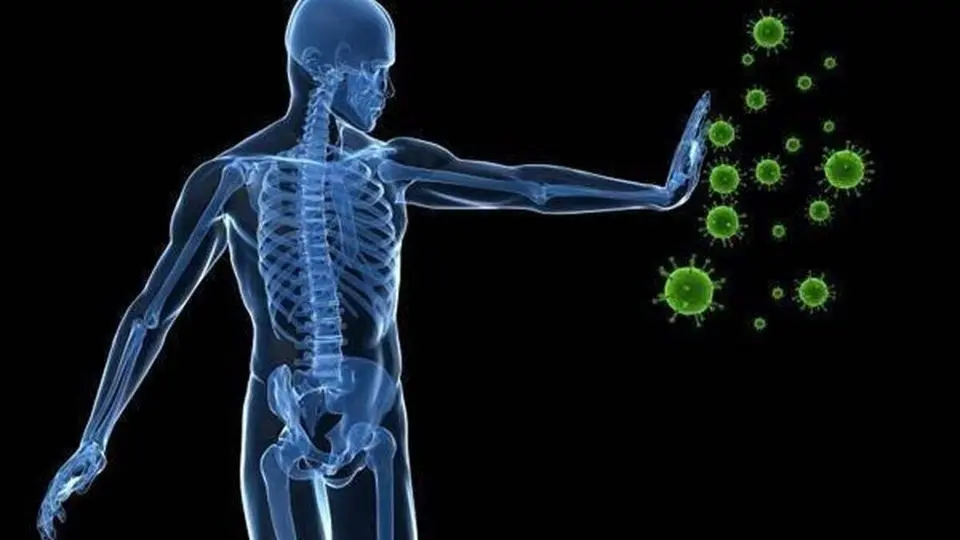 بهترین راههای سمزدایی طبیعی بدن را بدانید