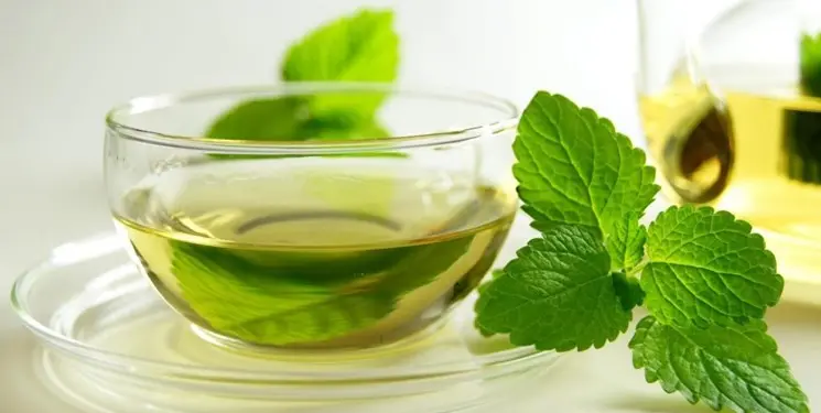این سبزی برای رفع دل درد و نفخ یا هضم بهتر غذا مفید است
