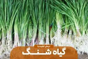 درمان بواسیر، دافع سنگ کلیه ، ضدعفونی کننده قوی و درمان کم خونی با این گیاهی که فکرشم نمیکنین انقد خاصیت داشته