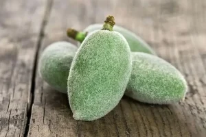 خواص بی نظیر نوبر بهار | کلسترول بد (LDL) رو از بین میبره و حافظه رو تقویت میکنه