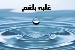 سیاهی پوست و زانو درد و پادردهای ناعلاج نشانه سوداست | با این روش سودای بدن را هر روز دفع کنید