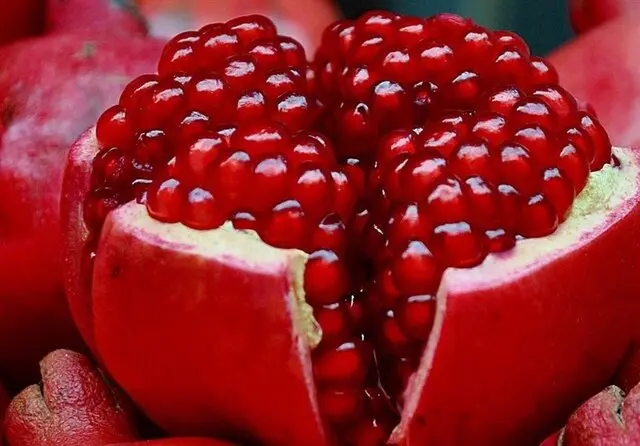 مصرف این میوه روی شعله های آتش تمام عفونت های سرماخوردگی و آنفولانزا و عفونت گلو را از بین می برد