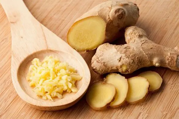 با این گیاه معده خود را در یک هفته کوچک کنید و از شر پرخوری و چاقی و چربی و کلسترول خون نجات پیدا کنید