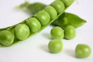 پروتئین گیاهی جایگزین لبنیات در این خوراکی ها فراوان است