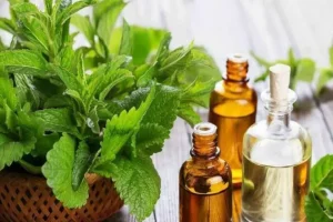 این گیاه متخصص کاهش درد، بهبود خواب و تقویت حافظه