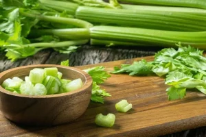 درمان نقرس ، روماتیسم و تقویت معده با این گیاه
