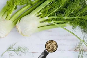 یکی از معجزه‌آساترین خواص این گیاه تقویت دید چشم است