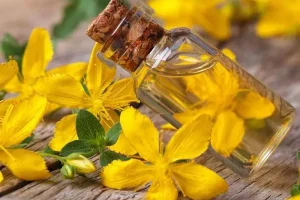 این گیاه نرم کننده پوست، ضد میگرن، ضد افسردگی، تسکین دهنده سرفه و تشنج
