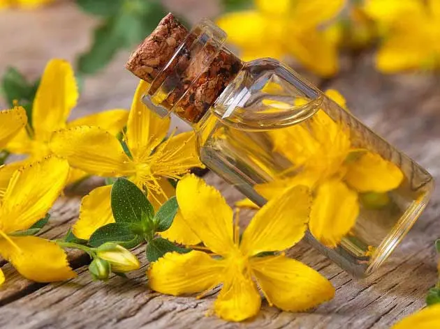 این گیاه نرم کننده پوست، ضد میگرن، ضد افسردگی، تسکین دهنده سرفه و تشنج