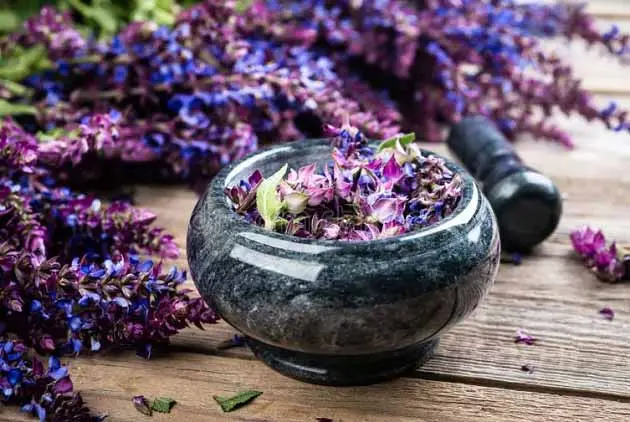 این گیاه حافظه را زیاد و افکار منفی را از شما دور میکند