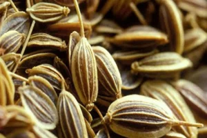 17 بیماری داخل معده را با این گیاه پادشاه در ناشتای صبح شفا دهید