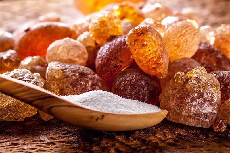 این صمغ یبوست، بی اختیاری ادرار ، قند خون را شفا میدهد و ضدلک پوست است