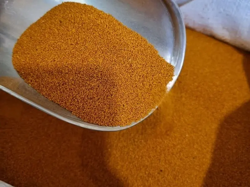 پیشگیری از دل ضعفه و درمان سرماخوردگی و تب با این دانه