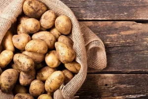 یک عمر اشتباهی سیب زمینی نگه میداشتیم | با این روش دیگه سیب زمینی ها جوونه نمیزنه