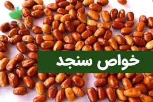 این میوه سرشار از ویتامین ث تقویت کننده قلب است