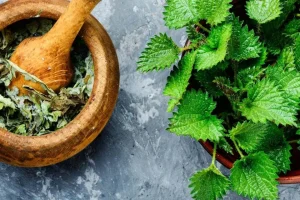 خواص گزنه برای مشکلات آقایون و خانمها که خیلی ا ازش بی خبرند